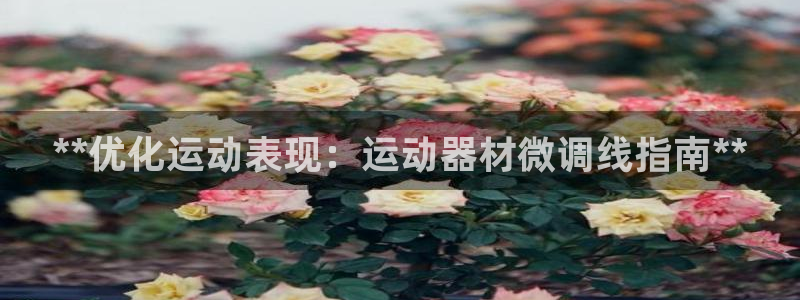 意昂3官网:**优化运动表现:运动器材微调线指南**