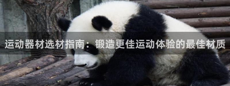 意昂3代理:运动器材选材指南:锻造更佳运动体验的最佳材质